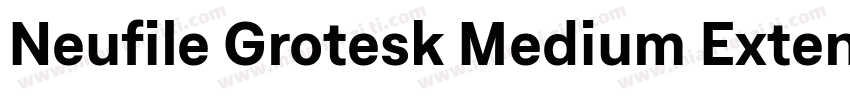 Neufile Grotesk Medium Extended Ita字体转换